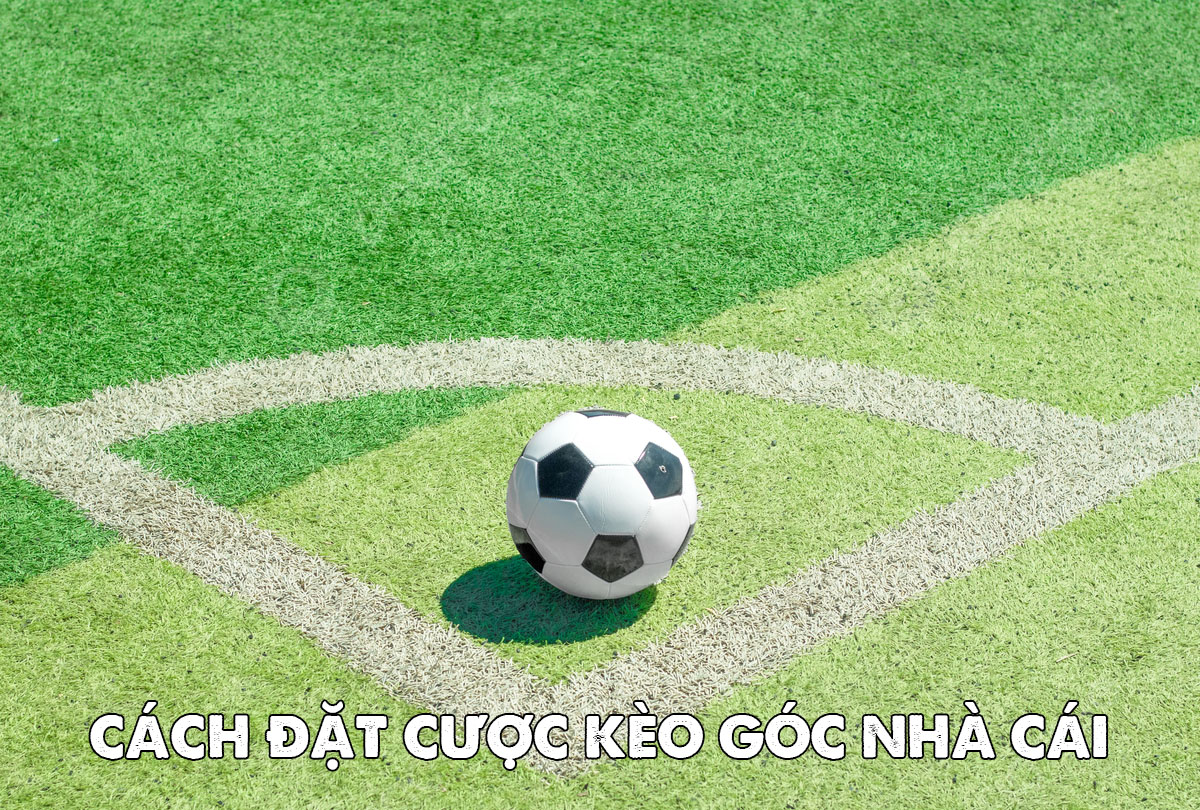 Cách đặt cược kèo góc nhà cái chi tiết